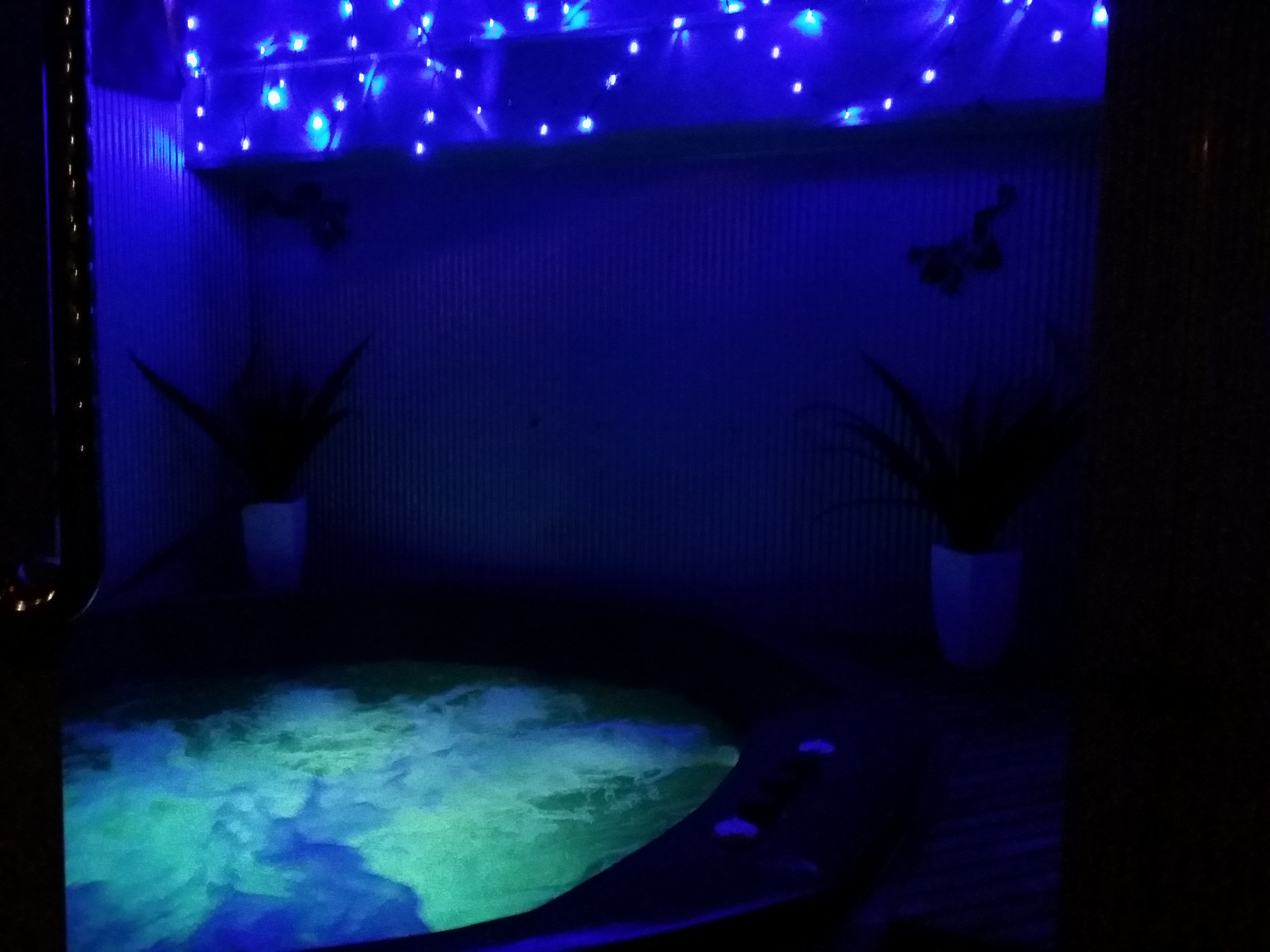 spa pool